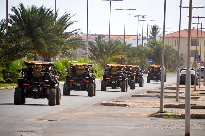 2h SSV Buggy Desert Adventure - 1000cc or 500cc - Kite Beach and Sal’s seasonal wildlife
