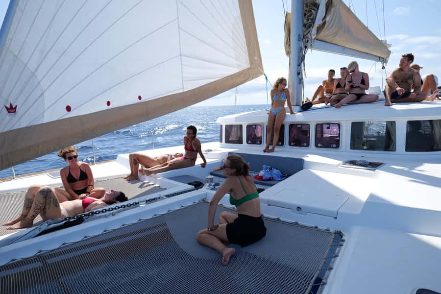 3-hour Catamaran Adventure on the waters of Sal Island - Wildlife sightings depend on luck