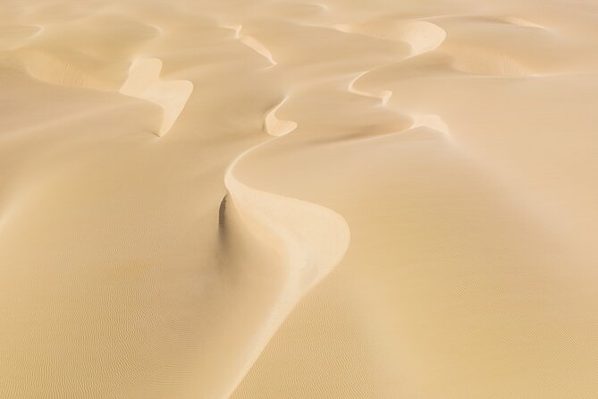 4WD Boa Vista group day tour south and north with sandboarding - Turtlebay: spotting loggerhead turtles from above
