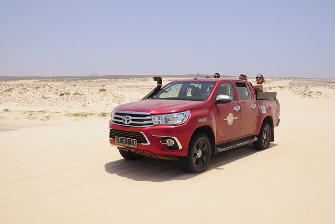 4x4 Tour - Sandboard, Shark & Green Turtle's Bay, Snacks & Drinks - Turtle Bay and the value of seeing wildlife naturally