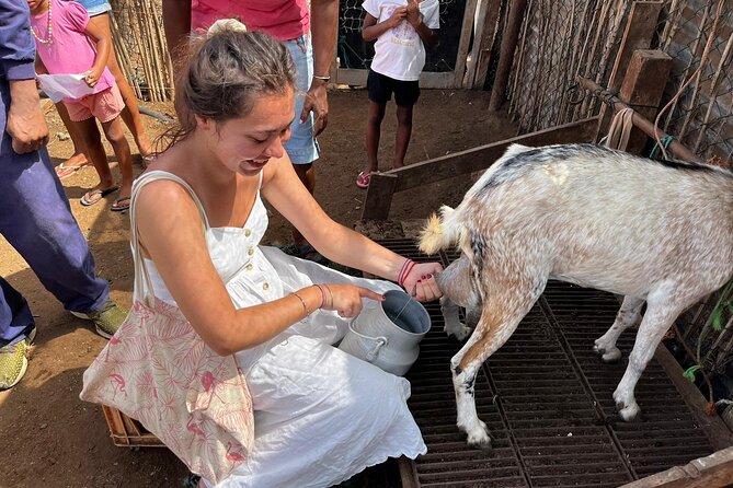 ALL-INCLUSSIVE Cabrer Journey-Live a day like a Cabrer-BoaVista - From Sal Rei to the rural side of Boa Vista