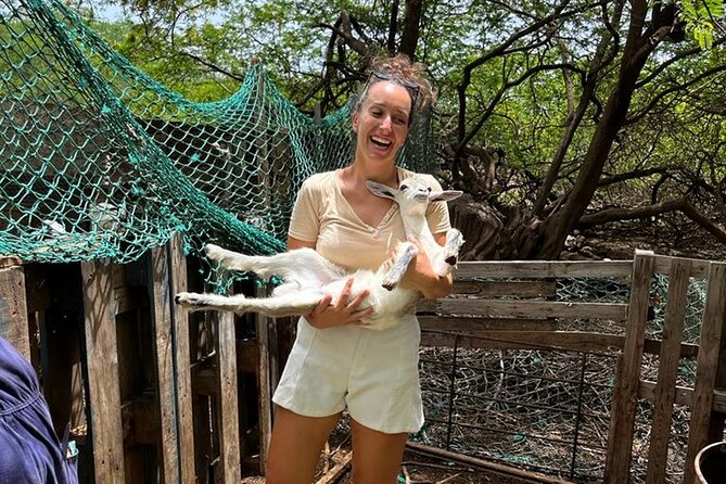 ALL-INCLUSSIVE Cabrer Journey-Live a day like a Cabrer-BoaVista - Farm work with goats and other animals
