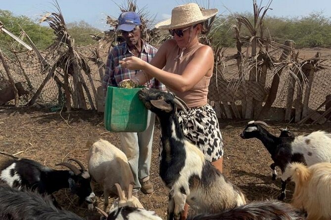 ALL-INCLUSSIVE Cabrer Journey-Live a day like a Cabrer-BoaVista - Ponche, stories, and the family welcome
