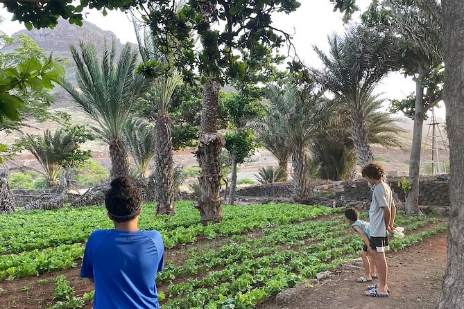 Beaches, Villages and Monte Verde, São Vicente Excludes City - The road to Calhau: dunes, volcanoes, and changing color
