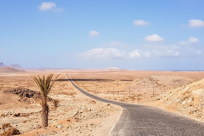 Big Boa Vista Exclusive Tour - Praia de Varandinha is the photographer’s stop