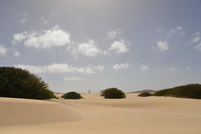 Big Boa Vista Exclusive Tour - Route 66 leads to lunch at Pérola de Chaves