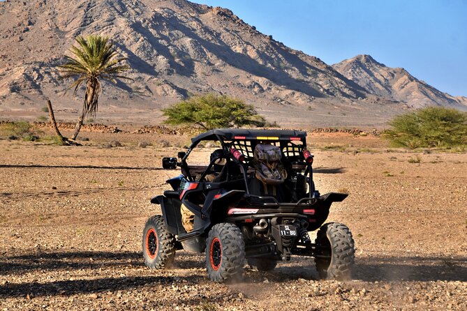 Boa Vista 2h Buggy Death Valley Adventure 1000cc - Starting at No Limits Adventure near Sal Rei