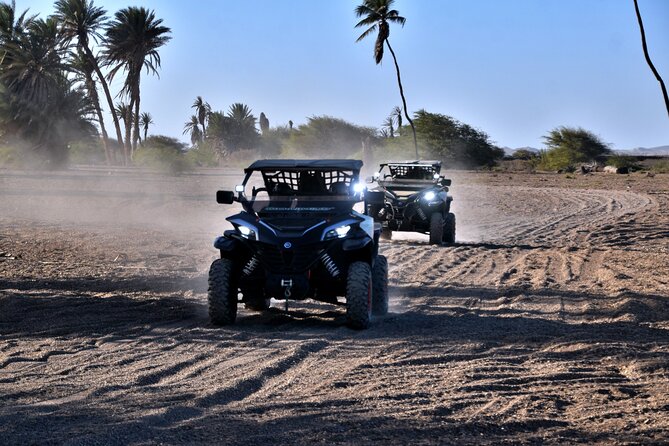 Boa Vista 2h Buggy Death Valley Adventure 1000cc - The oasis stop needs realistic expectations