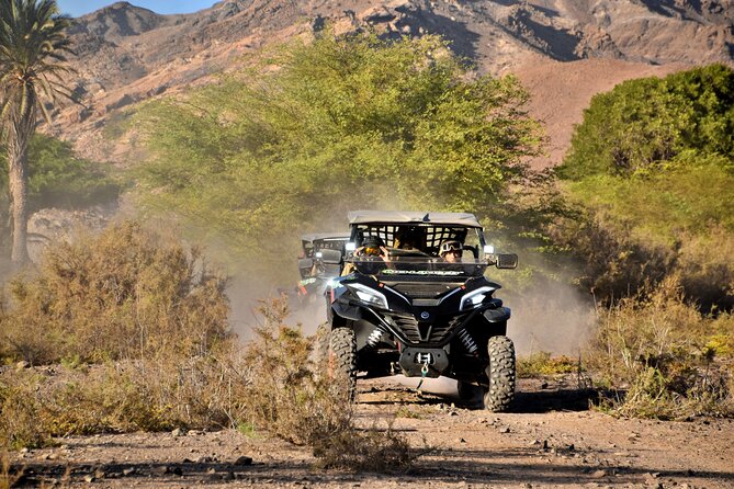 Boa Vista 2h Buggy Death Valley Adventure 1000cc - What the two-hour schedule really gives you