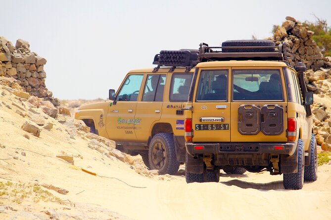 Boa Vista: 4h North Jeep Expedition Off-Road - Cabo Santa Maria and the shipwreck from 1968