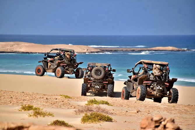 Boa Vista 4h South Buggy Adventure 1000cc - Key points before you book
