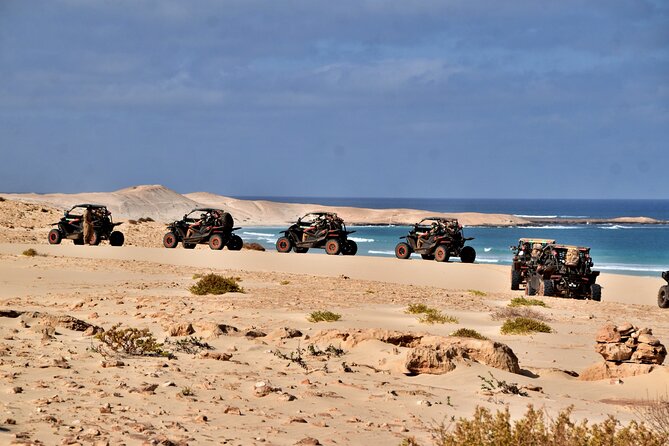 Boa Vista 4h South Buggy Adventure 1000cc - What the buggy setup includes