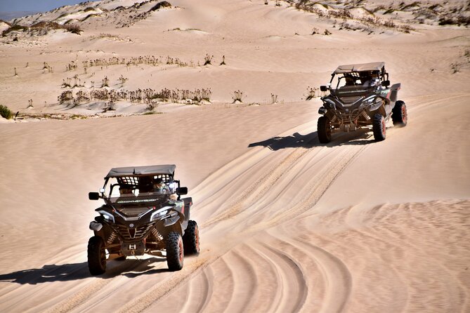 Boa Vista 4h South Buggy Adventure 1000cc - Price, group size, and real value