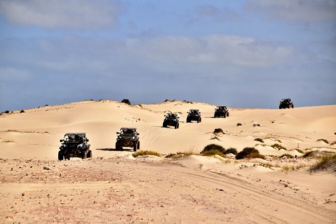 Boa Vista 4h South Buggy Adventure 1000cc - Praia de Chaves and the old pottery chimney