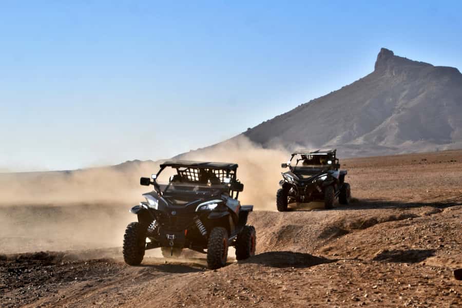 Boa Vista Buggy Tour: Death Valley Adventure (2-Hour) - The oasis in the middle of the dry country
