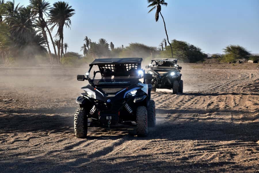 Boa Vista Buggy Tour: Death Valley Adventure (2-Hour) - The guide and the feel of the group