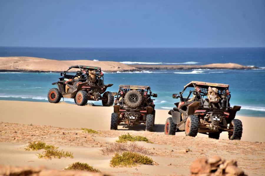 Boa Vista Buggy Tour: Santa Monica & South Desert (4-Hour) - Five details that shape the experience