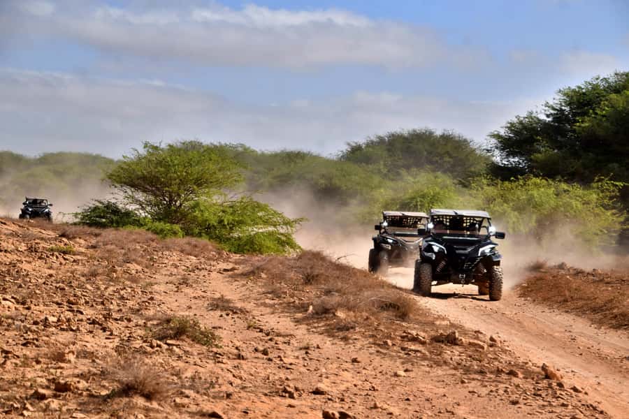 Boa Vista Buggy Tour: Santa Monica & South Desert (4-Hour) - Santa Monica Beach, Boa Vista’s big coastal moment
