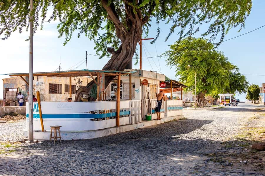 Boa Vista Full Day 4x4 Island Tour with Beachfront Lunch - The price, transport, and value