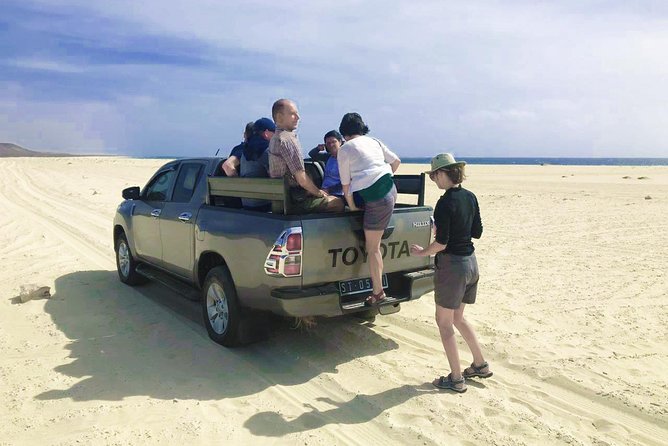 Boa Vista Island: 4-Hour Rabil, Viana Desert & Shipwreck Tour - What the guides add to the morning