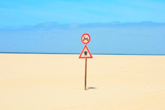 Boa Vista Island: 4-Hour Rabil, Viana Desert & Shipwreck Tour - Who will enjoy this Boa Vista tour?
