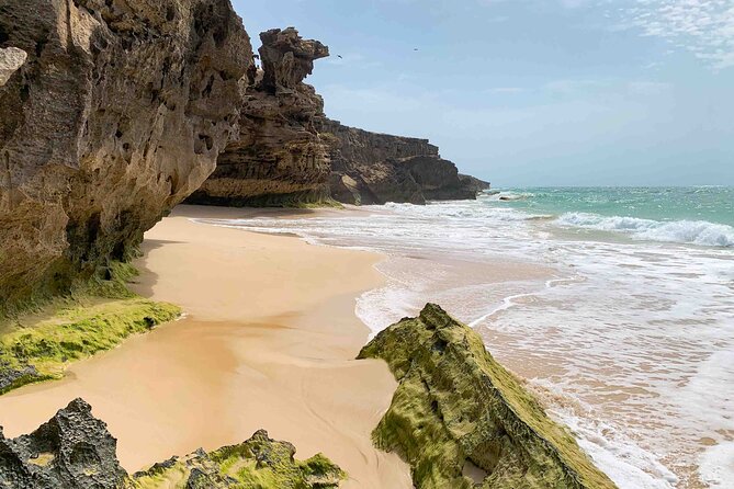 Boa Vista Island: Full Day North to South Discovery - Key things to know before you book