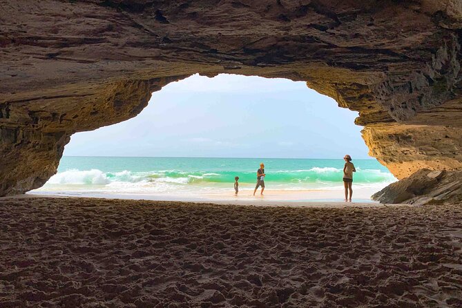 Boa Vista Island: Full Day North to South Discovery - Why this Boa Vista tour works as an island introduction