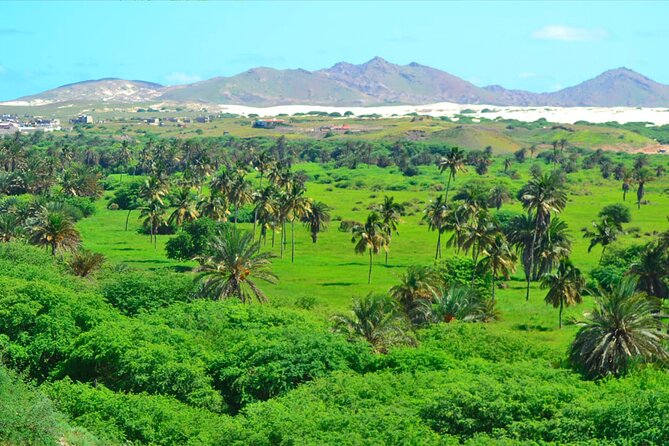 Boa Vista Island: Full-Day Wild Beaches & Viana Desert Experience - Ervatão Beach and the loggerhead turtle coast