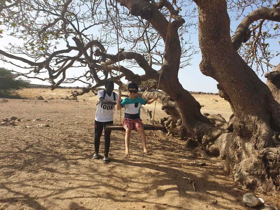 Boa Vista Island: Full-Day Wild Beaches & Viana Desert Tour - Fonte Vicente Oasis and Boa Vista’s hardy plants