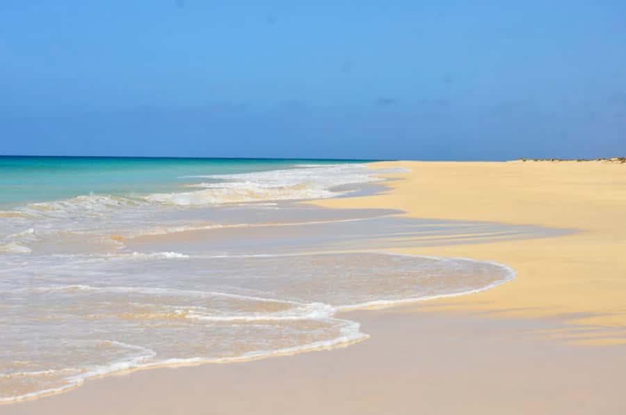 Boa Vista Island: Guided Santa Monica Beach & Caves Tour - Santa Monica Beach is the main event