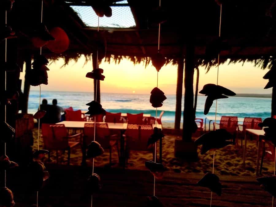 Boa Vista: Lobster Lunch at Santa Monica Beach - Boca Beach Club and its fishing connection