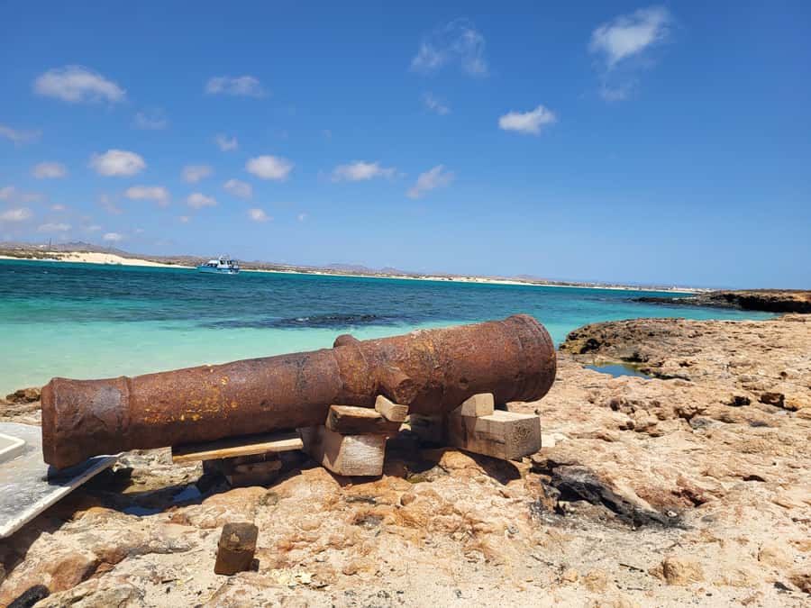 Boa Vista: Motoryacht Trip with Fishing, Snorkel, Beach BBQ - A beach BBQ with fish or meat