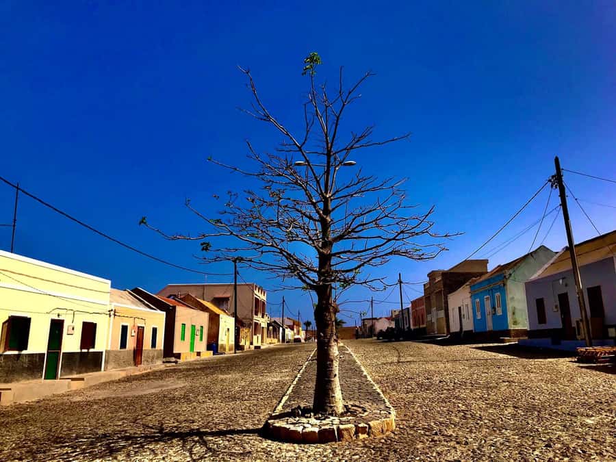 Boa Vista: Santa Monica, Dunes, Caves and Village 4x4 Tour - How to prepare for the 4x4 ride