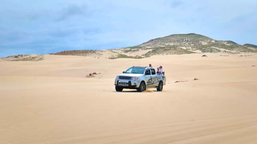Boa Vista: Shark, Turtles, Cave, Sandboarding & Tasting Tour - Key points at a glance