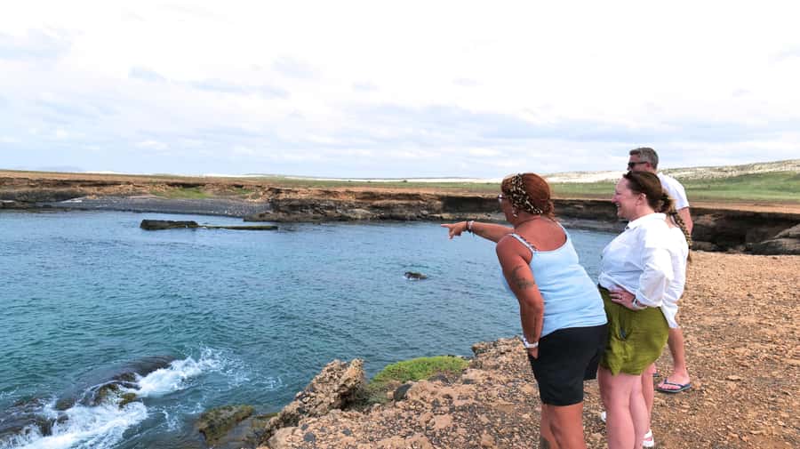 Boa Vista: Shark, Turtles, Cave, Sandboarding & Tasting Tour - Praia Varandinha caves and coastal birdlife