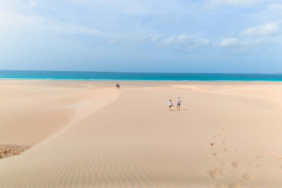 Boa Vista: Shark, Turtles, Cave, Sandboarding & Tasting Tour - Santa Monica Beach: the morning’s quiet showstopper