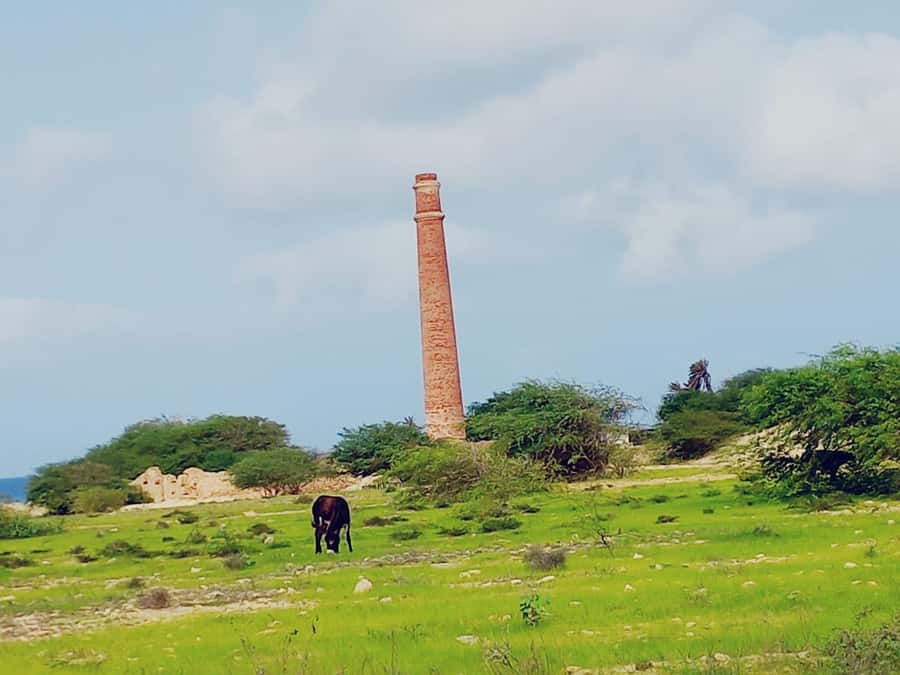 Boa Vista: Shipwreck, 4x4 Ride & Caves Day Tour with Lunch - Free time in Sal Rei completes the day