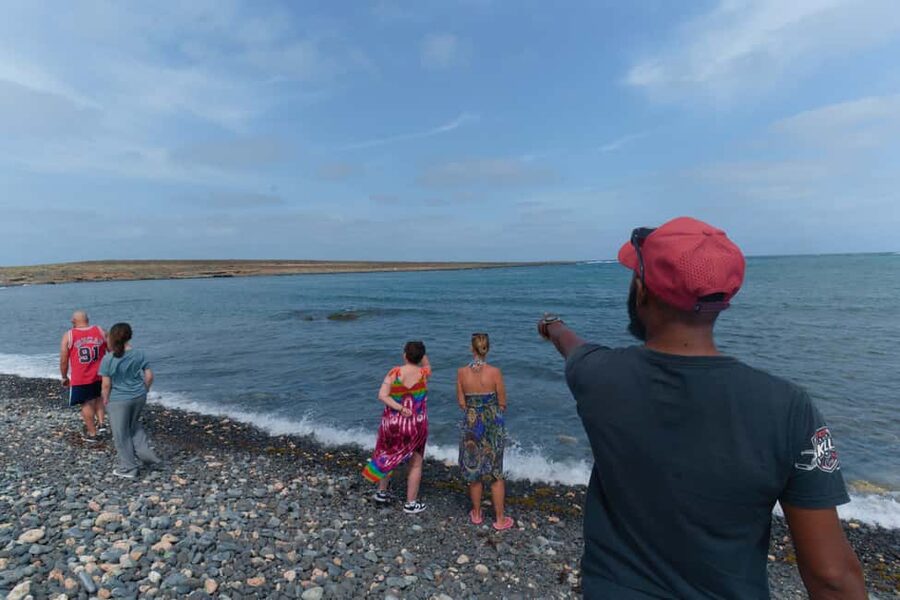 Boa Vista: Snorkeling at Gatas Bay & North East Tour - Who Will Enjoy This Day Most