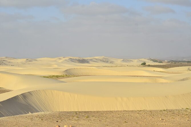 Boa Vista Tour: Santa Mónica, Desert & Shipwreck - Why this Boa Vista day trip works