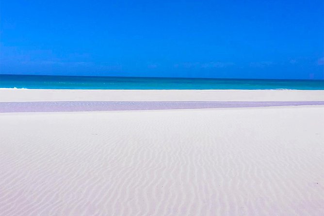 Boa Vista Tour: Santa Mónica, Desert & Shipwreck - Morro de Areia begins the morning with sand and sea