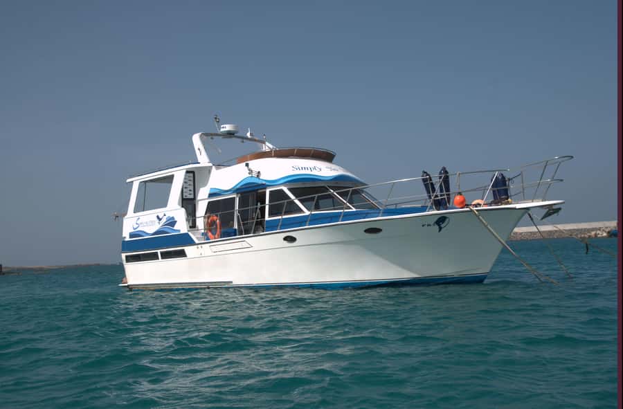 Boa Vista: Whale Watching Trip with Motoryacht - Searching the water for a blow, fluke, or back