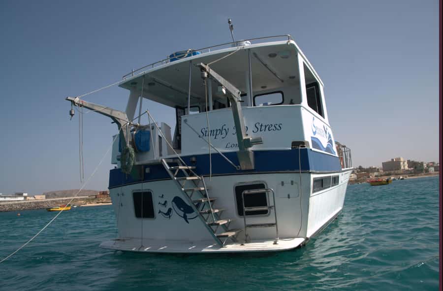 Boa Vista: Whale Watching Trip with Motoryacht - What the experience feels like on the Atlantic