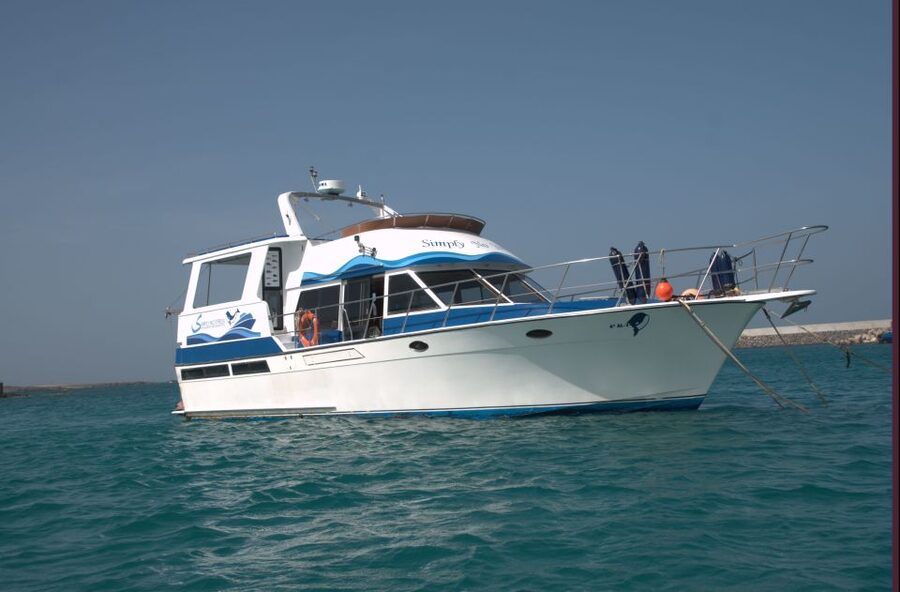 Boa Vista: Whale Watching Trip with Motoryacht - Who will enjoy this boat trip most