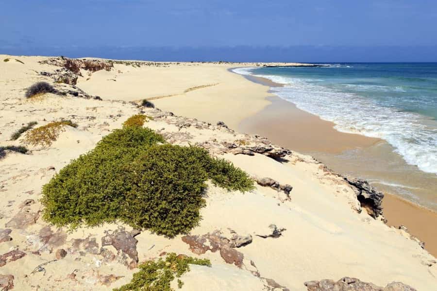 Boavista: 4h Shipwreck, Desert, Fatima Chapel & Pottery Tour - At a glance: what makes this tour useful