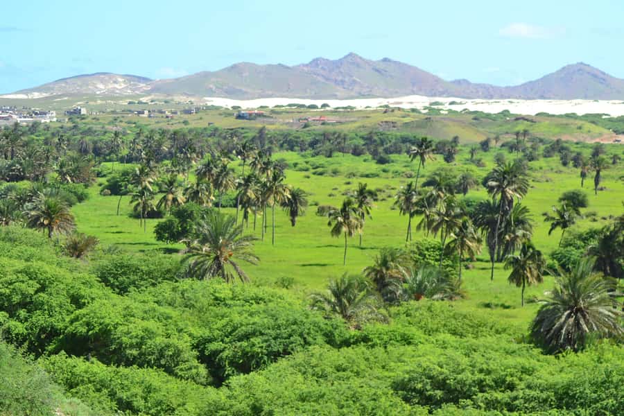 Boavista: Rabil, Shipwreck, City, Snacks & Drinks - 4x4 Tour - The Santa Maria shipwreck and the beach of Atalanta