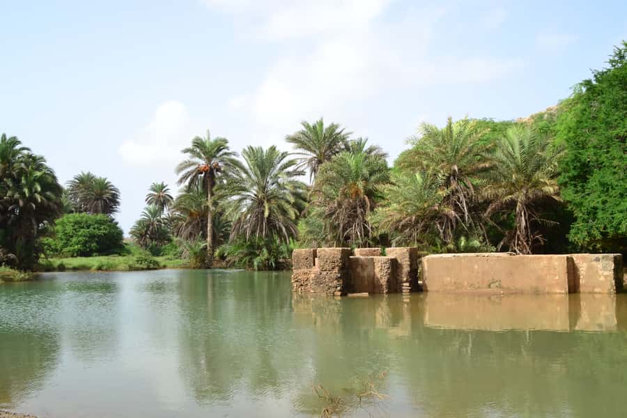 Boavista: Rabil, Shipwreck, City, Snacks & Drinks - 4x4 Tour - Sodade Restaurant: the best part for your palate