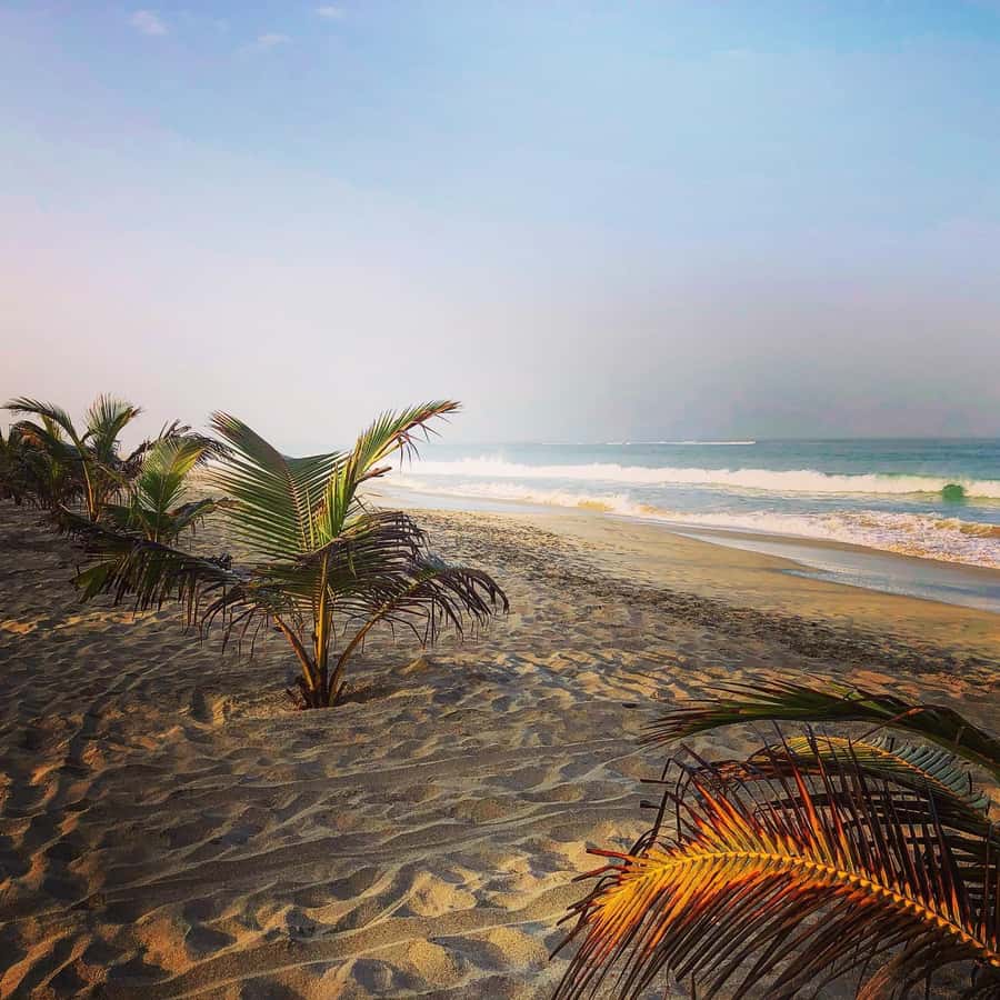 Boavista: Santa Monica beach, Varandinha cave, Sand dunes - What the small group changes