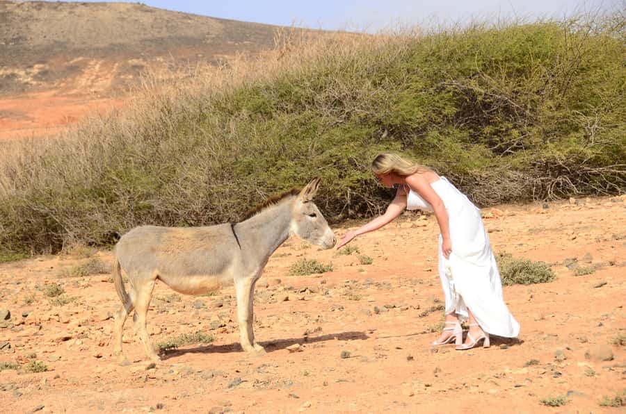 Boavista: Social Media Safari; Insta Iconic Spots Tour - Key points to know before you book