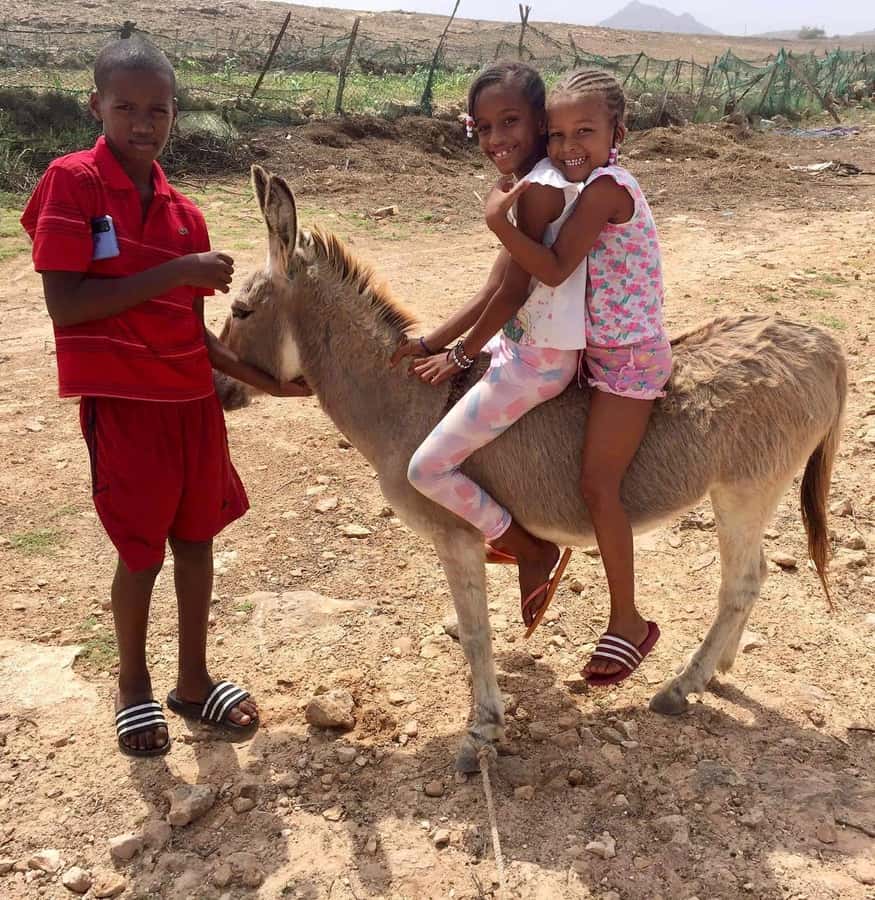 Boavista: Traditional & Local Experience Tour - Why this tour is different from a standard Boa Vista outing