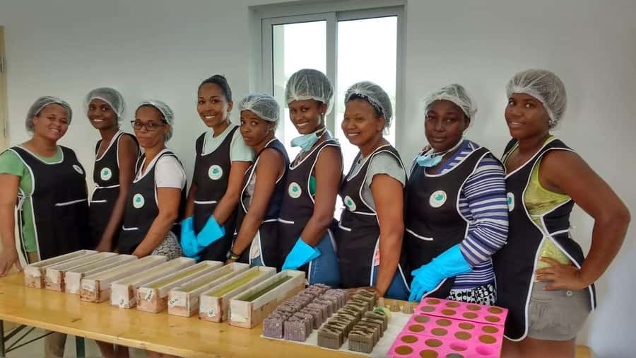 Boavista: Traditional & Local Experience Tour - Bofareira farm, where island life gets practical